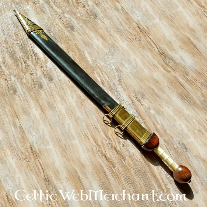 Gladius Noviomagus 4 Gladius Noviomagus - Afbeelding 4