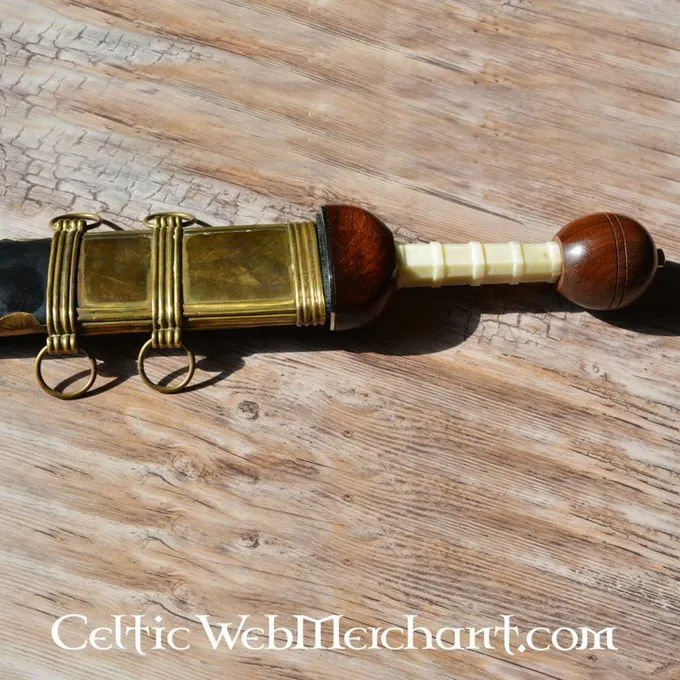 Gladius Noviomagus 5 Gladius Noviomagus - Afbeelding 5