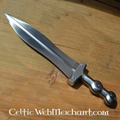 Deepeeka Pugio Quintanis -Viking zwaarden Winkel pugio quintanis 3