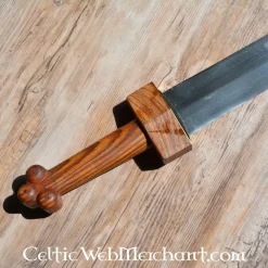 Deepeeka Republikeinse Gladius Osuna -Viking zwaarden Winkel republikeinse gladius osuna 4