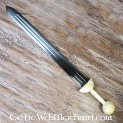 Deepeeka Romeinse Spatha Bonna 9 Deepeeka Romeinse Spatha Bonna -Viking zwaarden Winkel romeinse spatha bonna 3